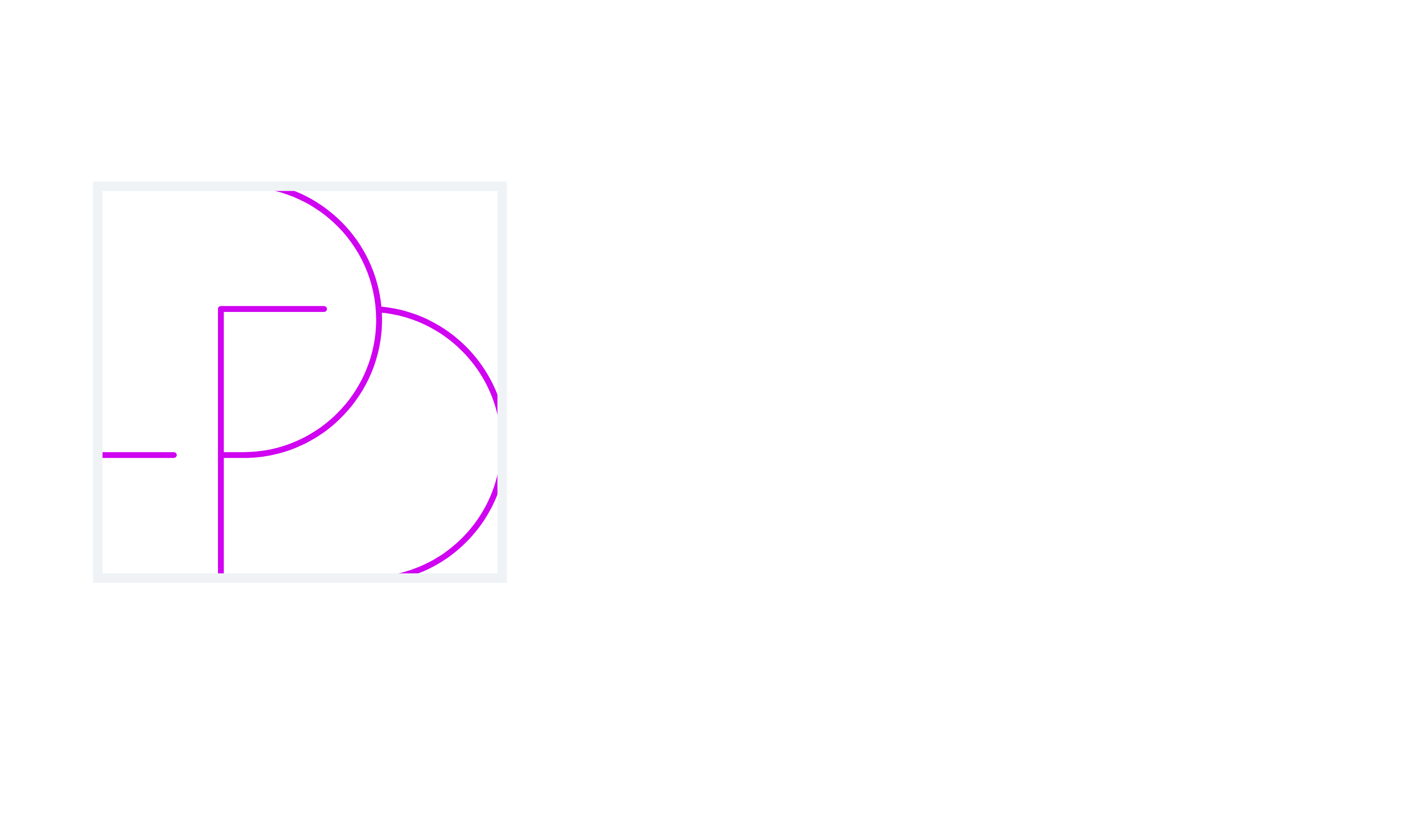 thediscreetdesire logo